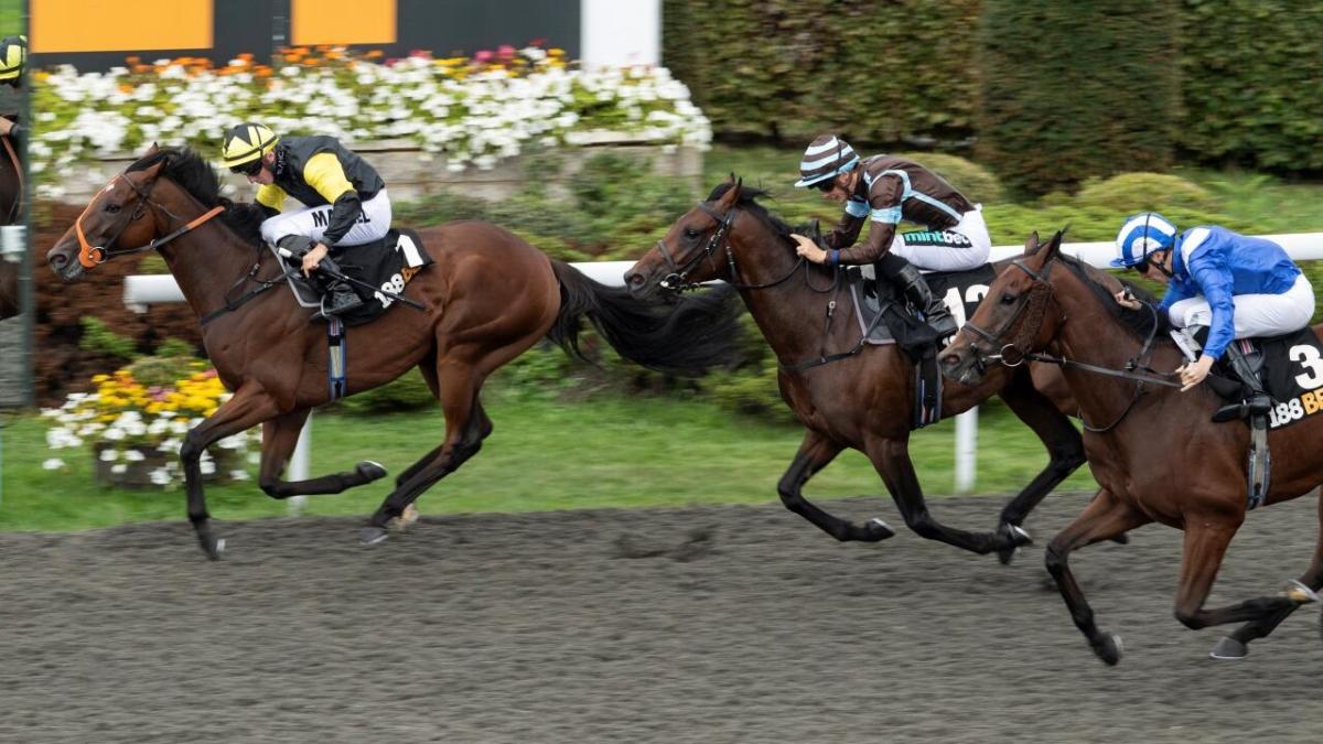 Richard Hannon's War Glory 